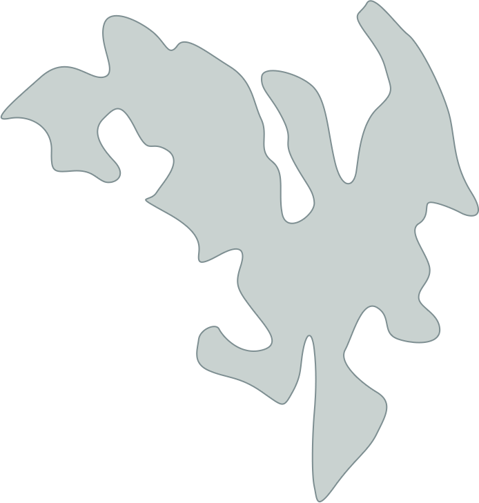 Shape of Naru Island