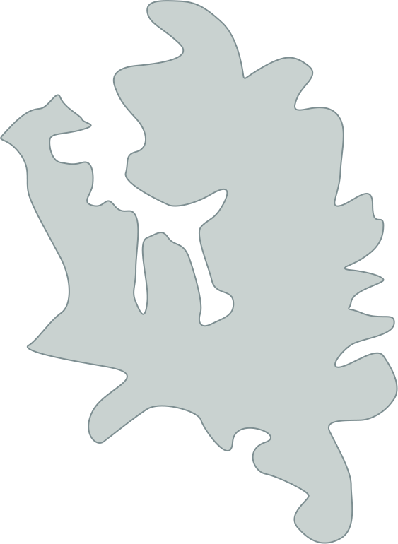 Shape of Wakamatsu Island